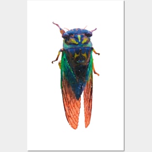 Rainbow Cicada Posters and Art